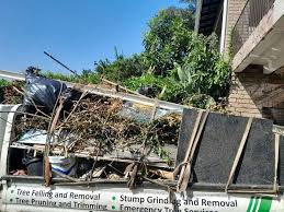Best Office Cleanout  in Gustine, CA